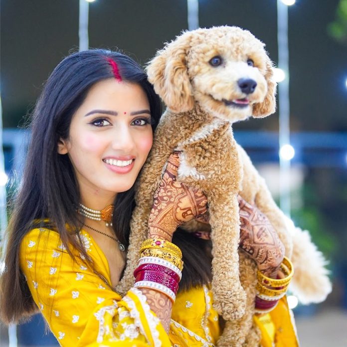 Neetu Bisht net worth